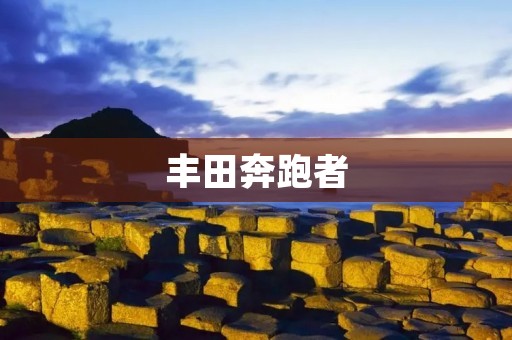 丰田奔跑者:绝对越野之王 丰田奔跑者:绝对越野之王
