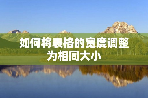 如何将表格的宽度调整为相同大小
