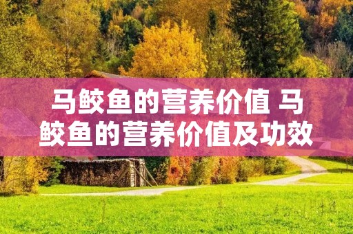马鲛鱼的营养价值 马鲛鱼的营养价值及功效与作用