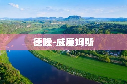 德隆-威廉姆斯：一位拥有传奇般职业生涯的篮球巨星