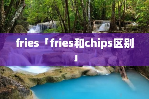 fries「fries和chips区别」