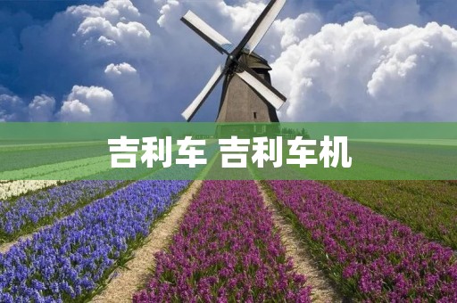 吉利车 吉利车机 吉利车 吉利车机