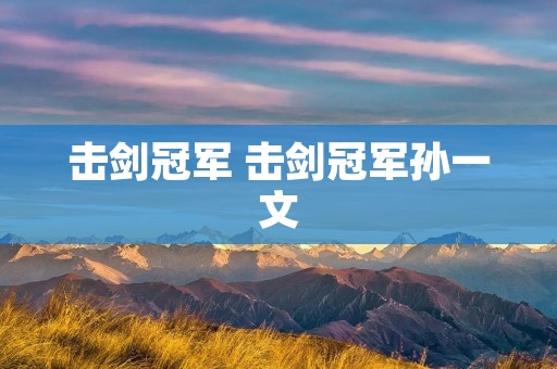 击剑冠军 击剑冠军孙一文