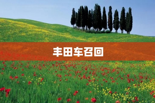 丰田车召回:质量问题引发消费者关注 丰田车召回:质量问题引发消费者关注