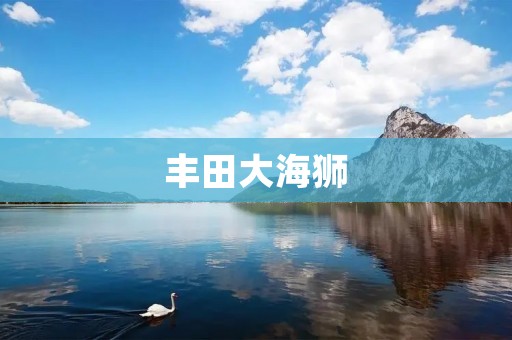 丰田大海狮:舒适安全的旅行之选 丰田大海狮:舒适安全的旅行之选
