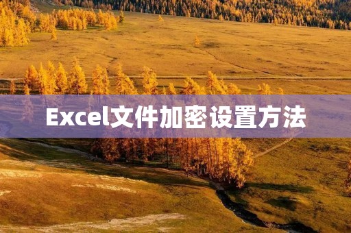 Excel文件加密设置方法