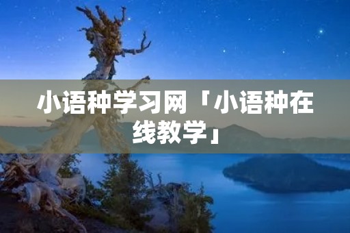 小语种学习网「小语种在线教学」
