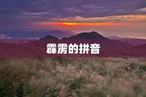 霹雳的拼音:探讨霹雳拼音在中文教育中的应用