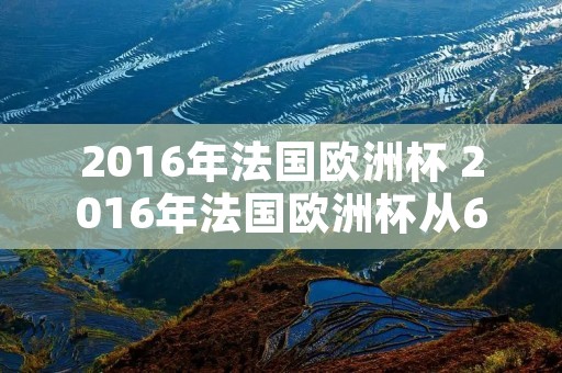 2016年法国欧洲杯 2016年法国欧洲杯从6月10日开始比赛数学题