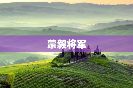 蒙毅将军:一个不朽的军事传奇