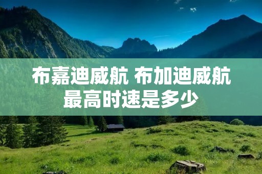 布嘉迪威航 布加迪威航最高时速是多少