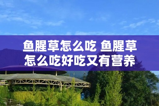 鱼腥草怎么吃 鱼腥草怎么吃好吃又有营养