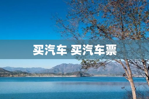 买汽车 买汽车票