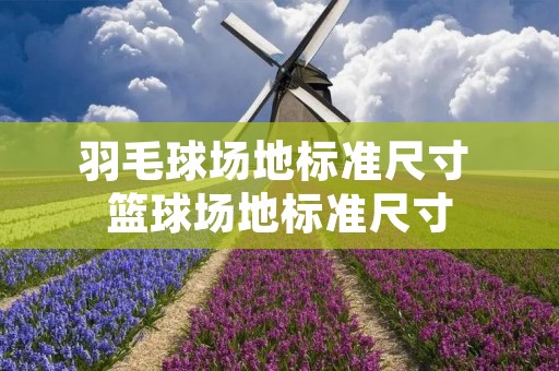 羽毛球场地标准尺寸 篮球场地标准尺寸