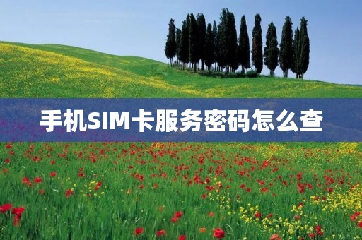 手机SIM卡服务密码怎么查