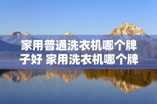 家用普通洗衣机哪个牌子好 家用洗衣机哪个牌子好性价比高