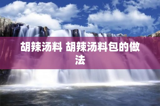 胡辣汤料 胡辣汤料包的做法