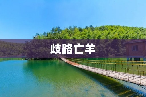 歧路亡羊:迷失中的决策之困