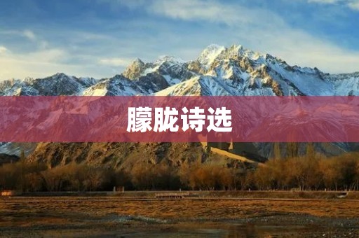 朦胧诗选:晨曦中的幻梦
