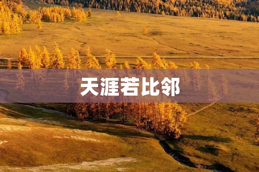 天涯若比邻：追寻相聚的遥远之地