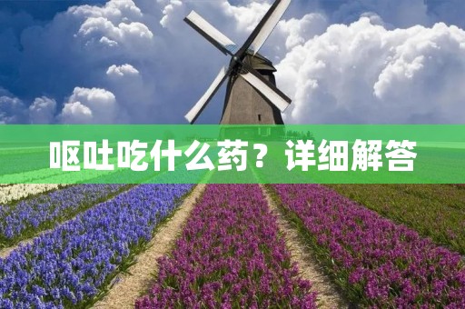 呕吐吃什么药?详细解答