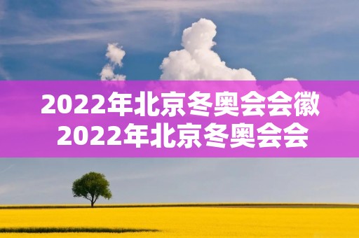 2022年北京冬奥会会徽 2022年北京冬奥会会徽的含义