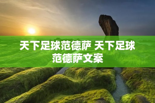 天下足球范德萨 天下足球范德萨文案