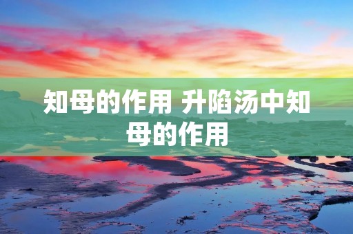 知母的作用 升陷汤中知母的作用