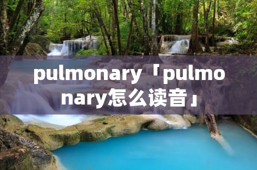 pulmonary「pulmonary怎么读音」