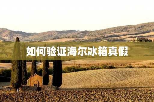 如何验证海尔冰箱真假