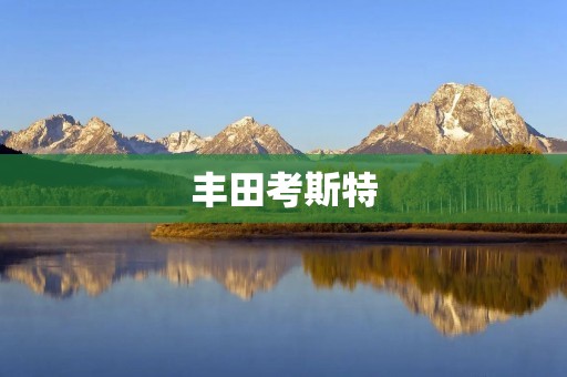 丰田考斯特：拥抱舒适与安全的旅行伙伴