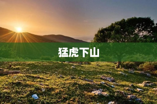 猛虎下山:释放内在潜力,勇往直前