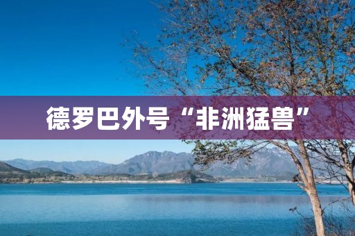 德罗巴外号“非洲猛兽”:揭秘切尔西传奇的足球传奇 德罗巴外号“非洲猛兽”:揭秘切尔西传奇的足球传奇