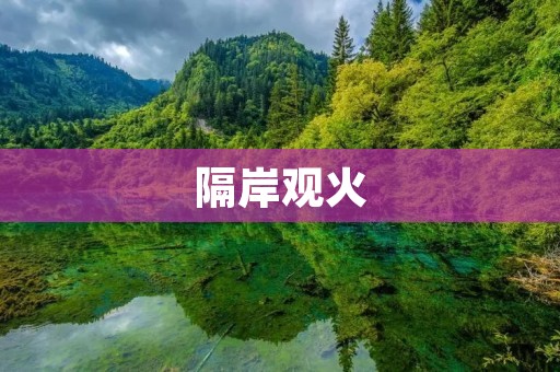 隔岸观火：揭示人类对他人困境的冷漠与无动于衷