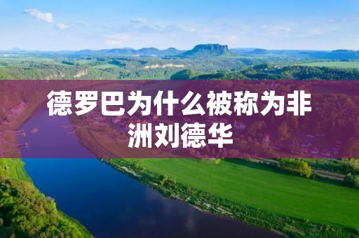 德罗巴为什么被称为非洲刘德华