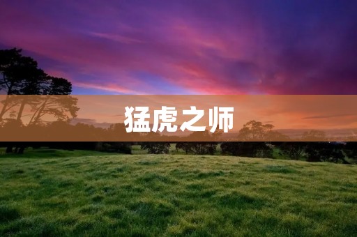 猛虎之师:纵横捭阖的战争之道