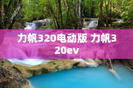 力帆320电动版 力帆320ev 力帆320电动版 力帆320ev