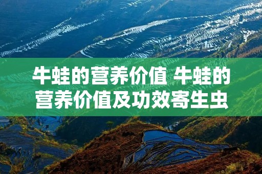 牛蛙的营养价值 牛蛙的营养价值及功效寄生虫