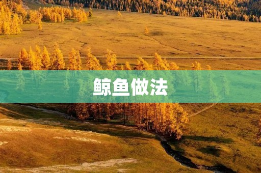 鲸鱼做法：口感鲜美，营养丰富的海洋美味