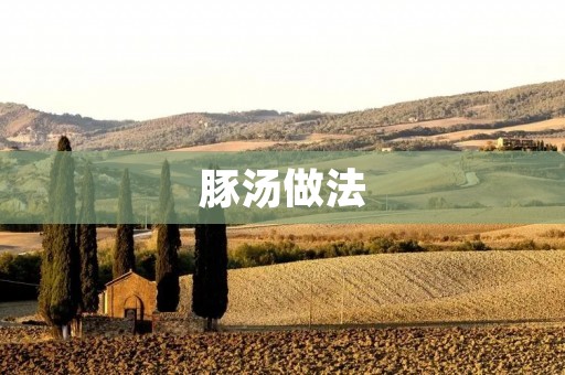 豚汤做法:美味鲜香的家常料理 豚汤做法:美味鲜香的家常料理