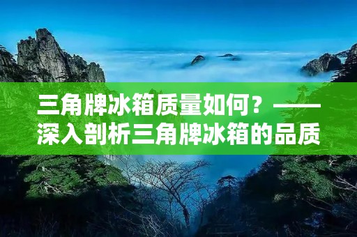 三角牌冰箱质量如何？——深入剖析三角牌冰箱的品质与性能