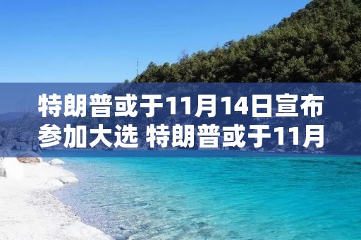 特朗普或于11月14日宣布参加大选 特朗普或于11月14日宣布参加大选是真的吗