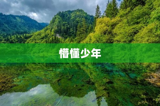 懵懂少年:迷茫中的成长