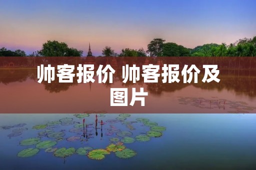 帅客报价 帅客报价及图片