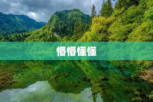 懵懵懂懂:寻找成长的起点