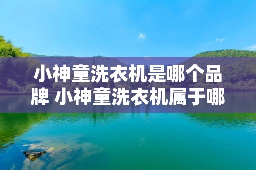 小神童洗衣机是哪个品牌 小神童洗衣机属于哪个品牌