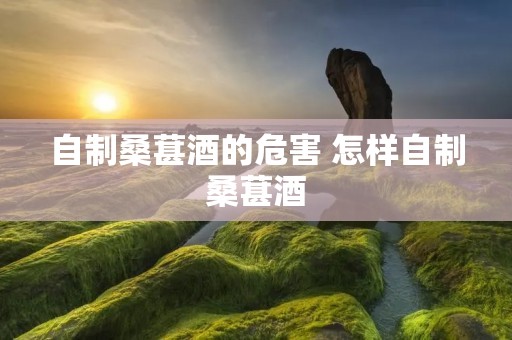 自制桑葚酒的危害 怎样自制桑葚酒