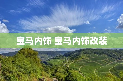 宝马内饰 宝马内饰改装