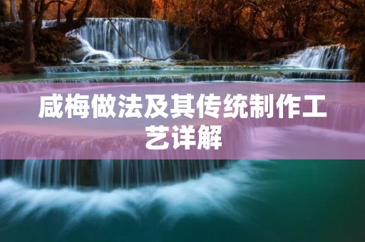 咸梅做法及其传统制作工艺详解 咸梅做法及其传统制作工艺详解