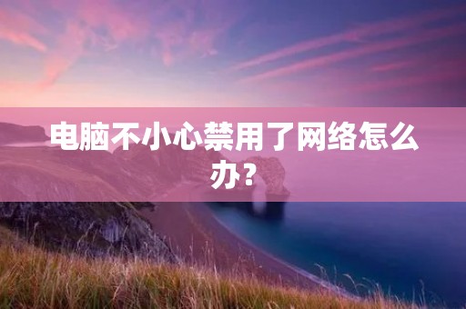 电脑不小心禁用了网络怎么办?